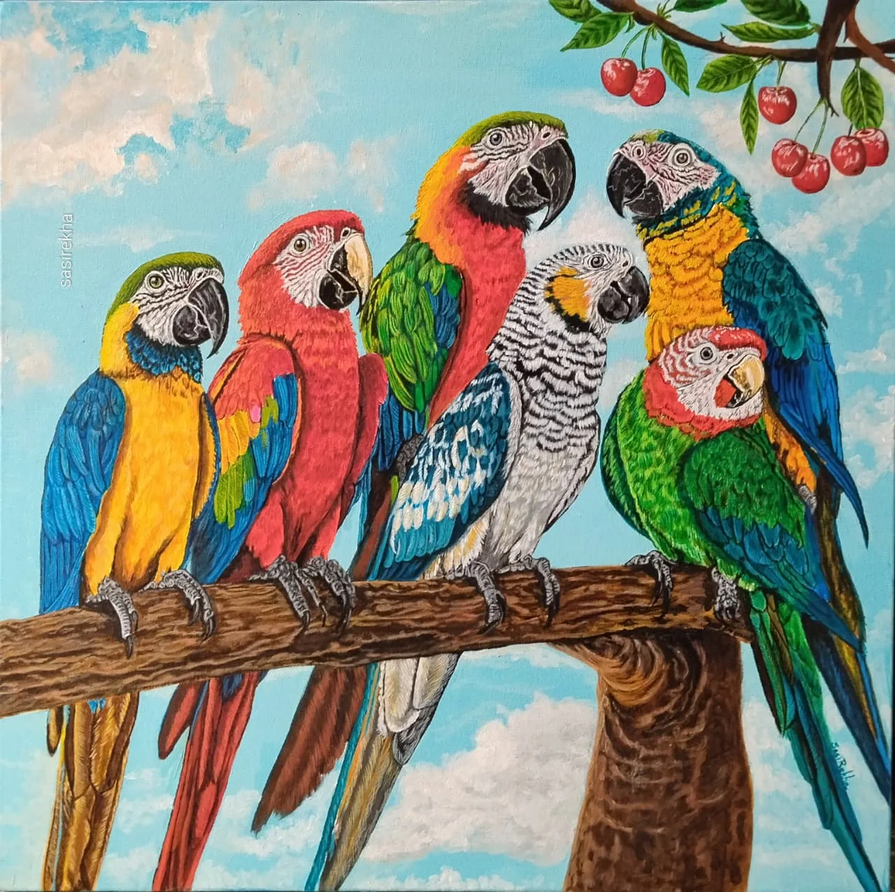 Colourful Life