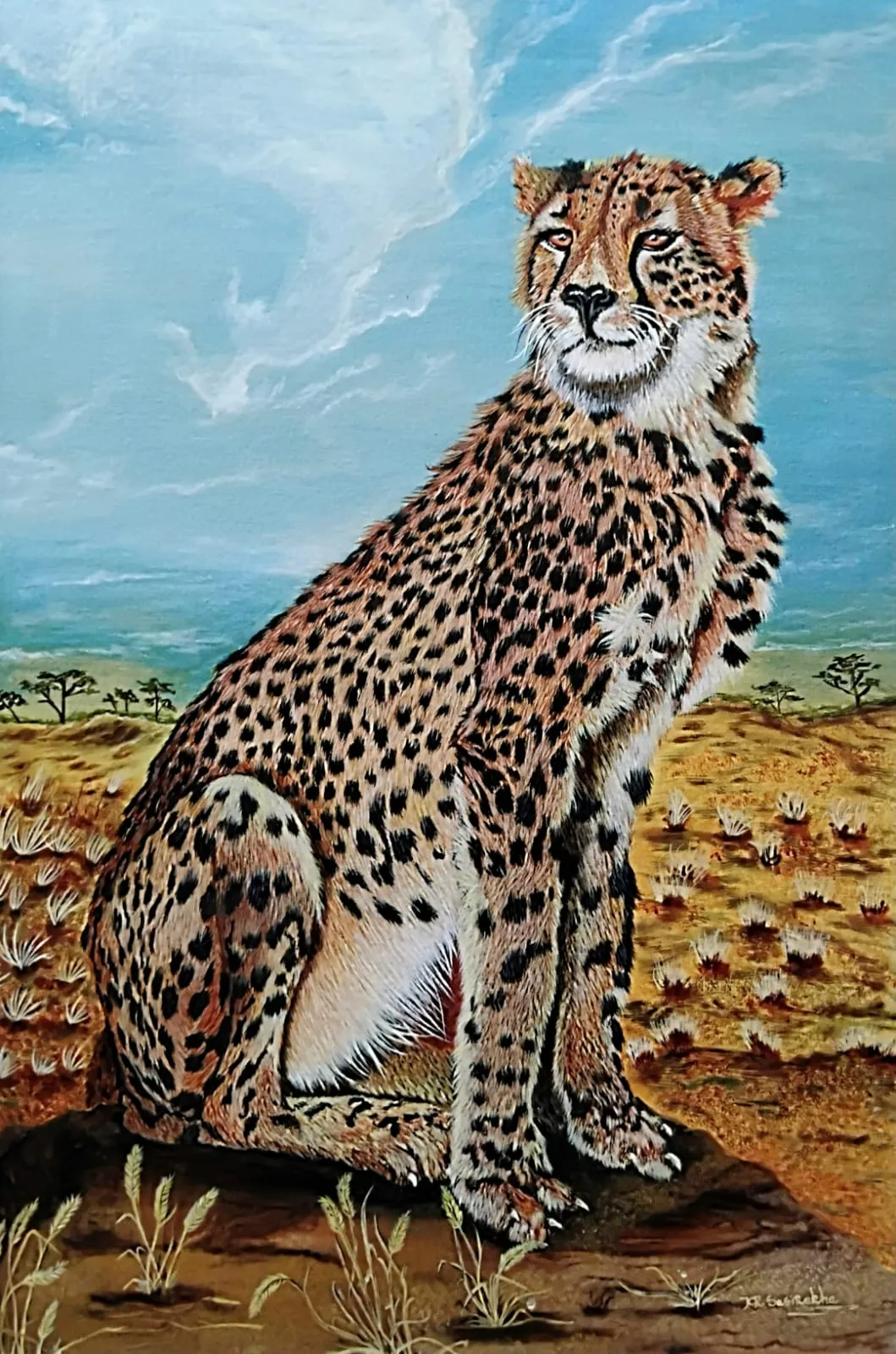 Wild Gaze
