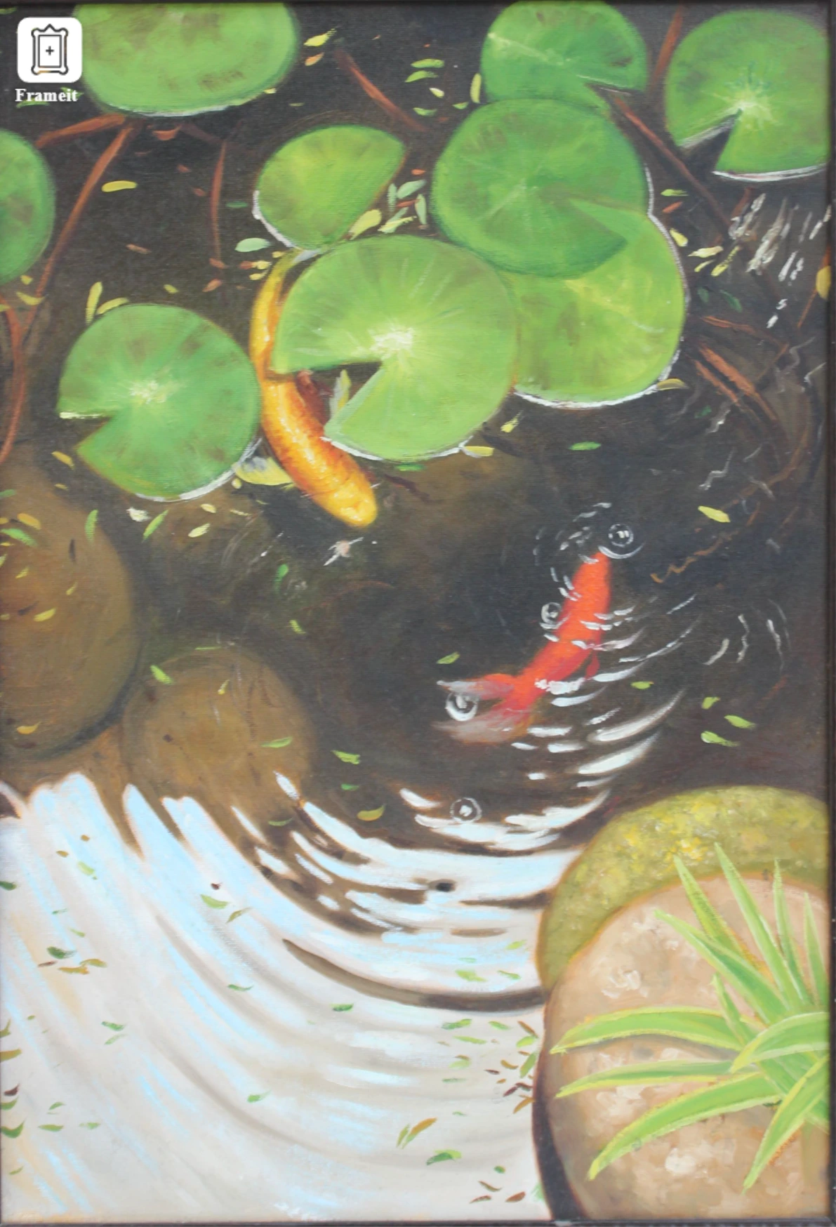 koi fishpond