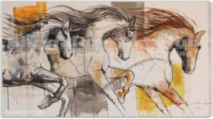 HorseS