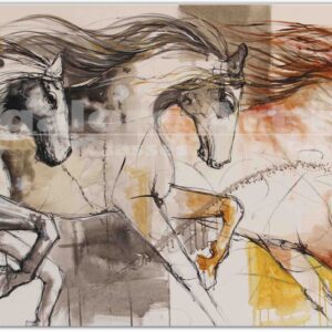 HorseS
