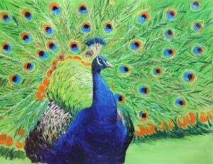 Peacock
