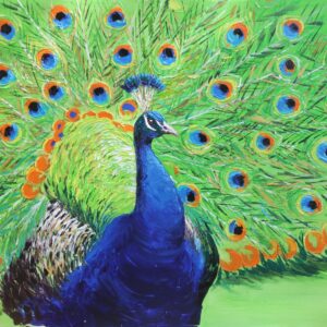 Peacock